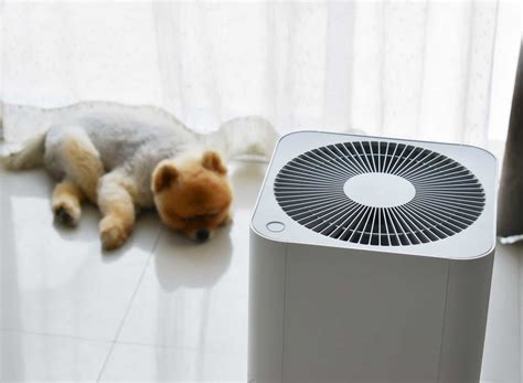 Best pet air purifier. Things To Know About Best pet air purifier. 